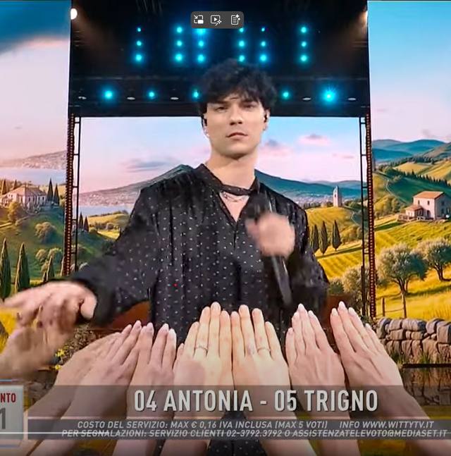 Amici di Maria De Filippi — foto 2